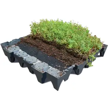 Green Roofs
